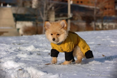 Dec4_07_757.JPG