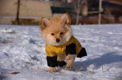 Dec4_07_758.JPG