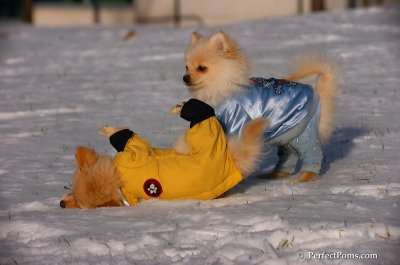 Dec4_07_759.JPG