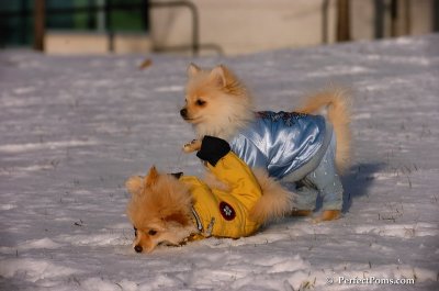 Dec4_07_761.JPG