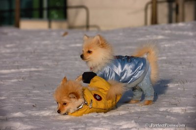 Dec4_07_762.JPG