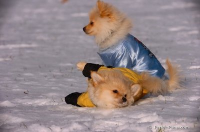 Dec4_07_765.JPG