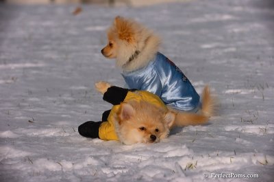 Dec4_07_767.JPG