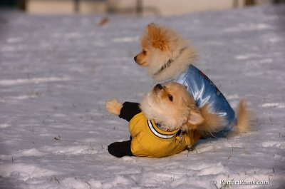 Dec4_07_768.JPG