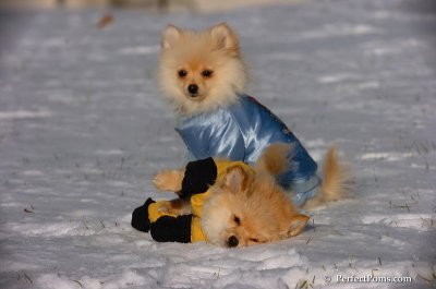 Dec4_07_770.JPG