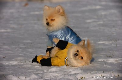 Dec4_07_772.JPG