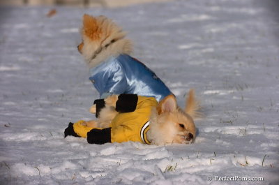 Dec4_07_773.JPG