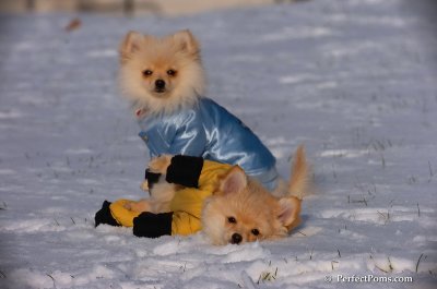 Dec4_07_775.JPG
