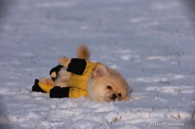 Dec4_07_777.JPG