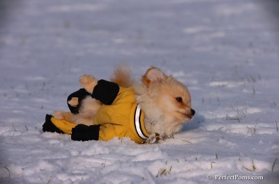 Dec4_07_778.JPG