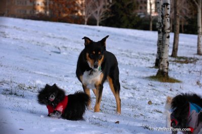 Dec4_07_780.JPG