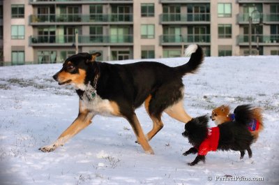 Dec4_07_783.JPG