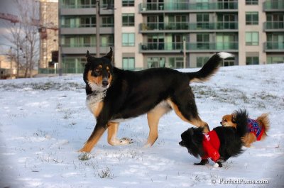 Dec4_07_785.JPG