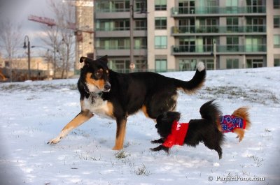 Dec4_07_786.JPG