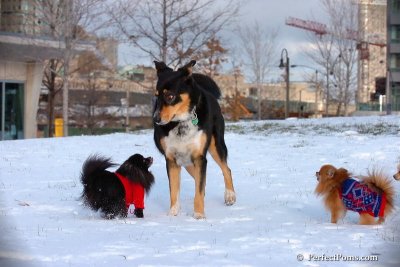 Dec4_07_790.jpg