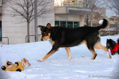 Dec4_07_793.JPG
