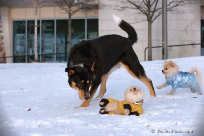 Dec4_07_796.jpg