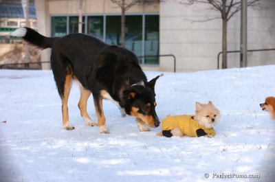 Dec4_07_797.JPG