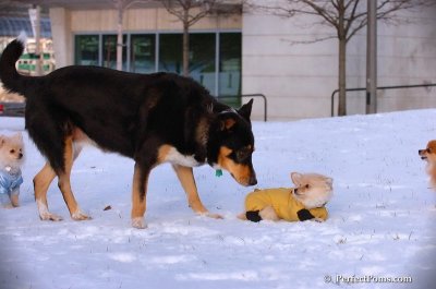 Dec4_07_799.JPG