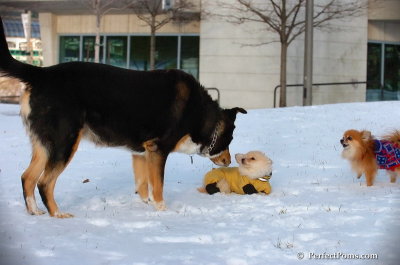 Dec4_07_801.JPG