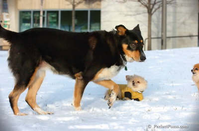 Dec4_07_803.JPG