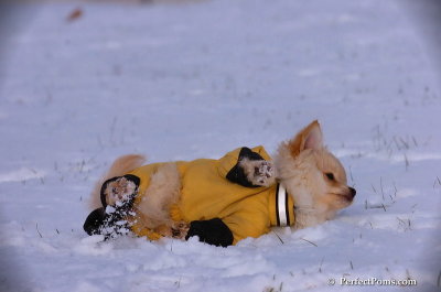Dec4_07_804.JPG