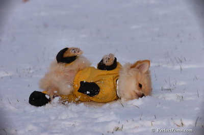 Dec4_07_805.JPG