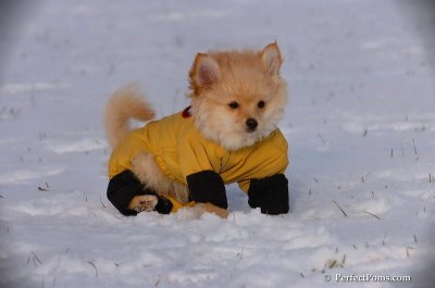 Dec4_07_806.JPG