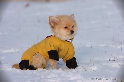 Dec4_07_808.JPG