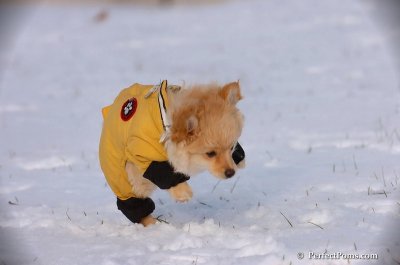 Dec4_07_809.JPG