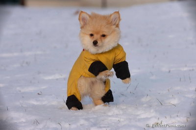 Dec4_07_810.JPG