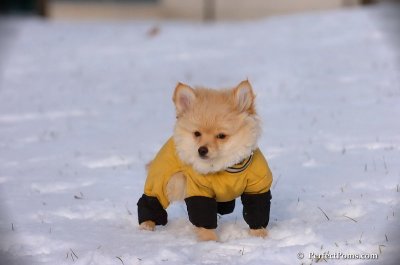 Dec4_07_811.JPG