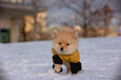 Dec4_07_813.JPG