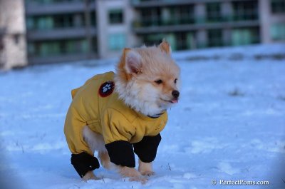 Dec4_07_816.JPG