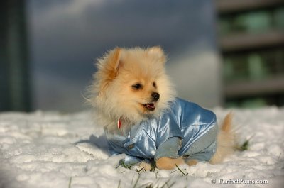 Dec4_07_595.JPG