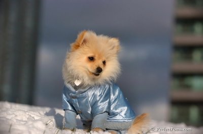 Dec4_07_597.JPG