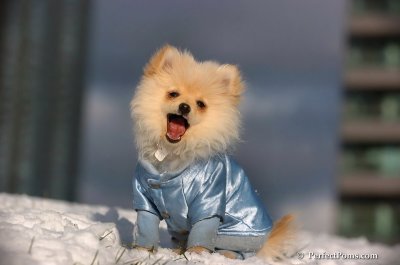 Dec4_07_598.JPG