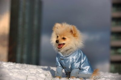 Dec4_07_600.JPG