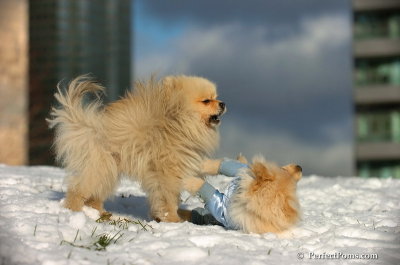 Dec4_07_605.JPG