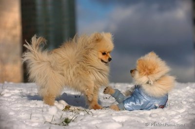 Dec4_07_607.JPG