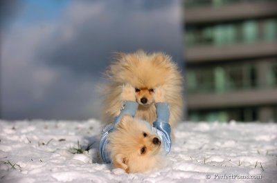 Dec4_07_615.JPG