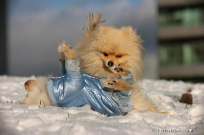 Dec4_07_616.JPG