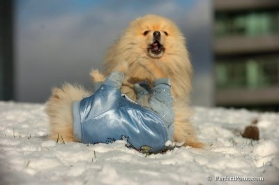 Dec4_07_618.JPG