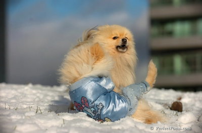 Dec4_07_619.JPG