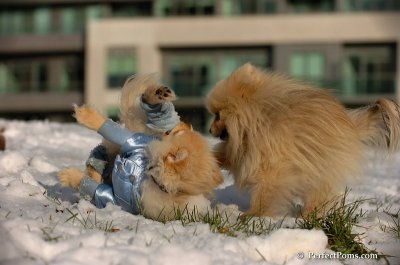 Dec4_07_621.JPG