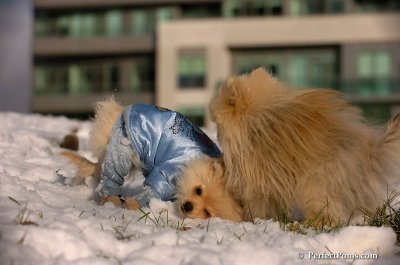 Dec4_07_622.JPG