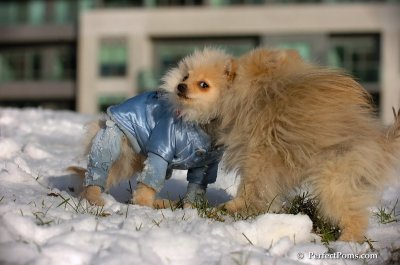 Dec4_07_623.JPG