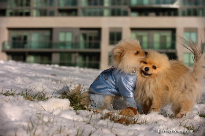 Dec4_07_626.JPG
