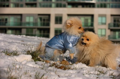 Dec4_07_627.JPG