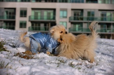 Dec4_07_628.JPG